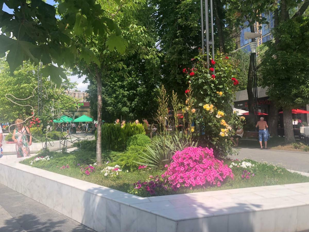 Siesta Arkadia * Odesa